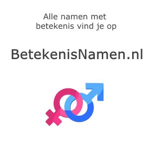 wat betekent one night stand|Wat is de betekenis van One